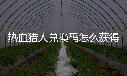 码怎么获码免兑换得 兑换4大热血热血猎人猎人费领取2全