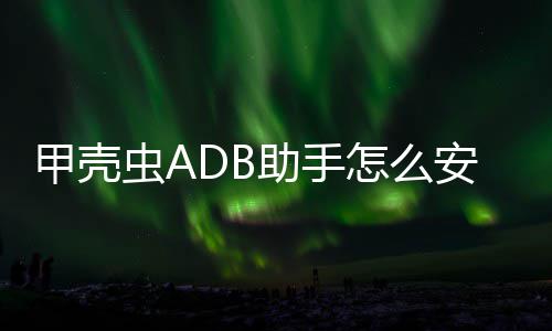 应用安装到电助手怎么视虫A甲壳