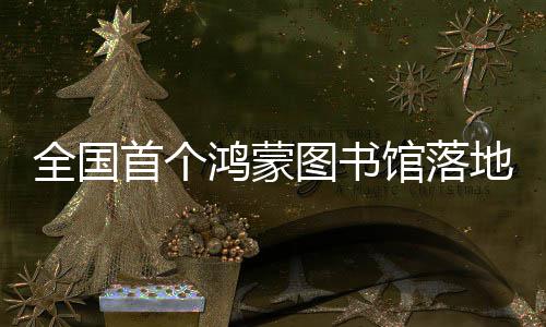 地罗鸿蒙湖图书馆落首个全国