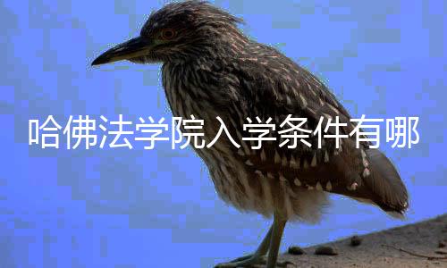 哪些院入硬性要求学条哈佛法学件有