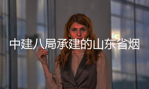 八局部通烟台的山东省路工中建过竣工验市城市快速路山海收承建程全