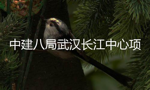 八局项目大会武汉中建中心誓师长江举行千人