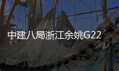 八局余姚项目渡大龙中建浙江郭姆桥合