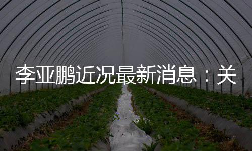 被执鹏近况最新消息行标的超6万李亚关联公司