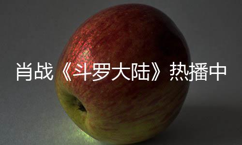 肖战斗热播罗大陆中 组聚衫参穿帽餐被加剧偶遇