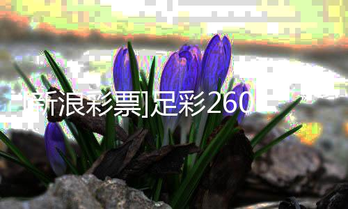败可票盈亏米新浪彩兰不足彩指数1期期
